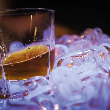 Seminaris Avendi 호텔