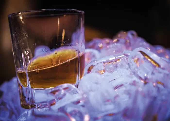 Seminaris Avendi فندق